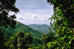 Blue and John Crow Mountains National Park