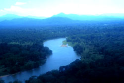 El río Negro 