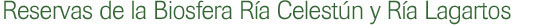 Reservas de la Biosfera Ría Celestún y Ría Lagartos