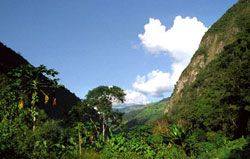 el valle del río Santa Cruz