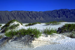 Dunas de yeso