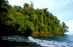Osa Beach