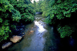 Yorkin River
